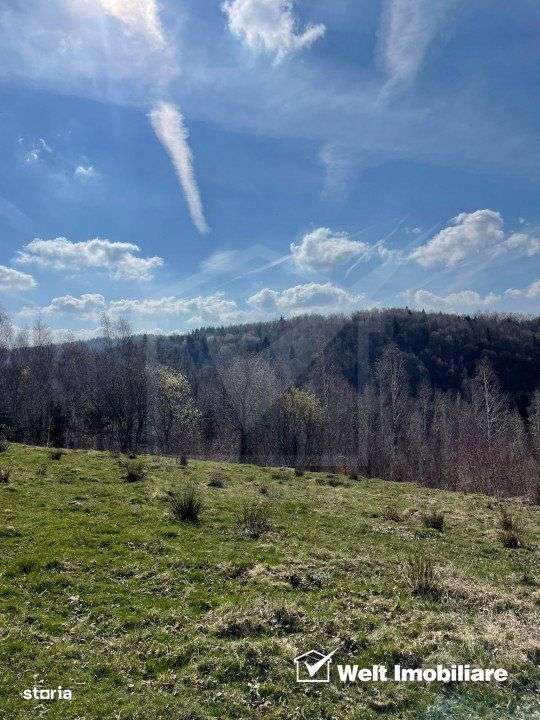 Teren cu panorama pentru cabana, Risca, Valea Fericirii - Imagine principală: 3/5