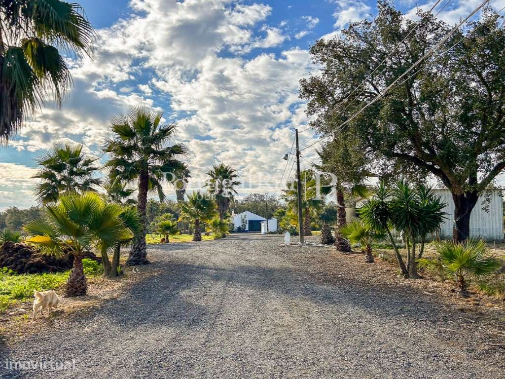 Quinta de 5 hectares, com 2 moradias e piscina-35