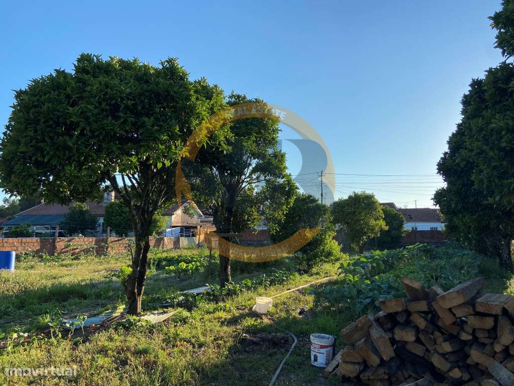 Terreno Ovar - Grande imagem: 2/8