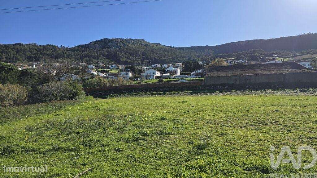 Terreno para construção em Lamas e Cercal - Grande imagem: 5/10