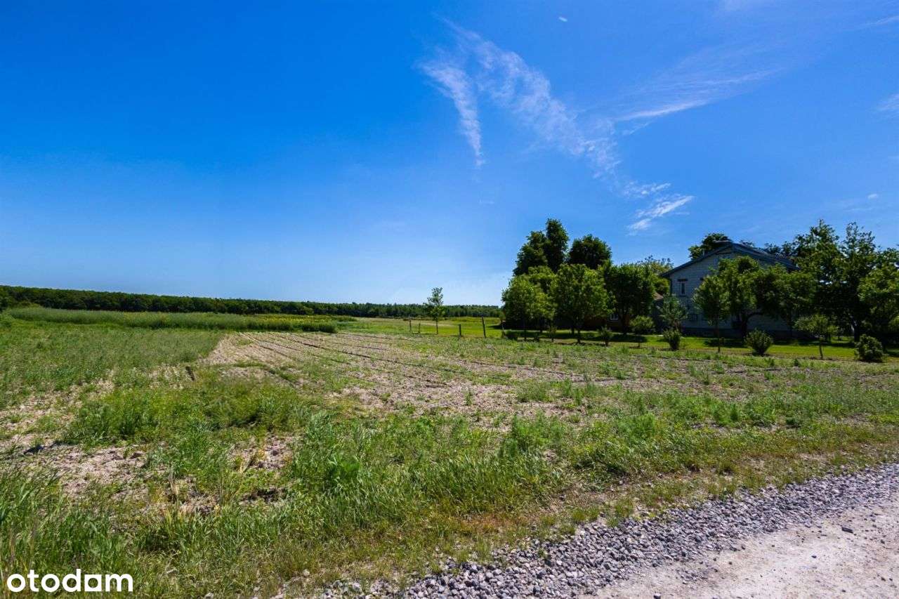 10 i 12 ar z mediami, okolice Lasu Osmolickiego-3