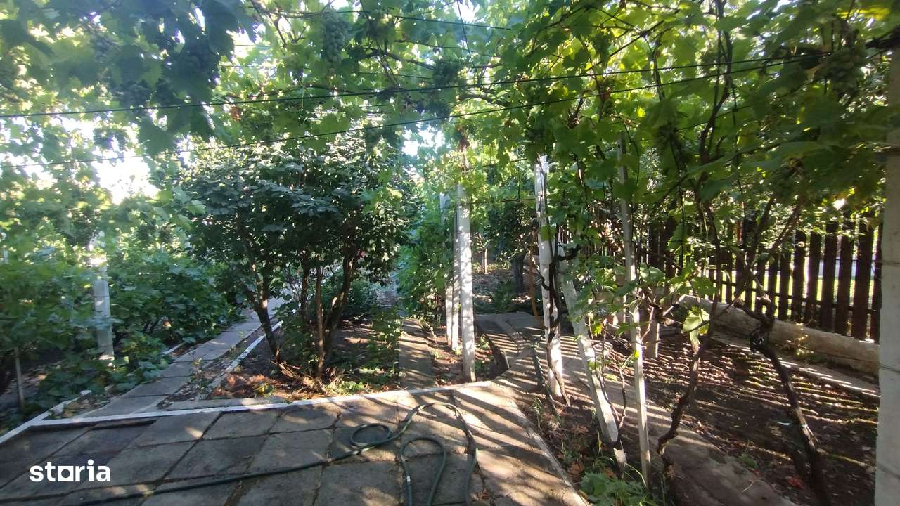 Casă, gradină, teren mare - Palazu Mare - Imagine principală: 3/9