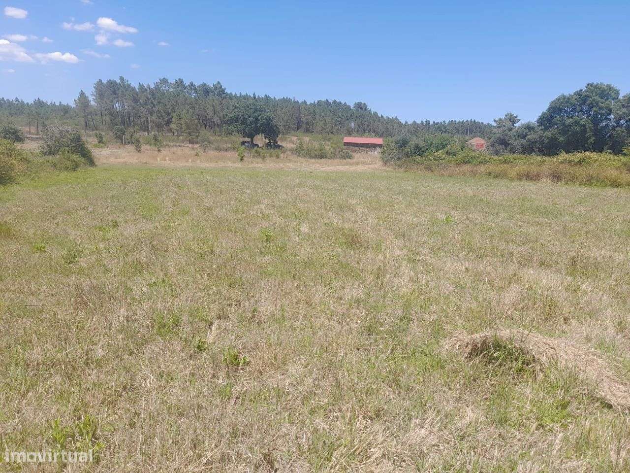 Quintinha - Grande imagem: 4/5