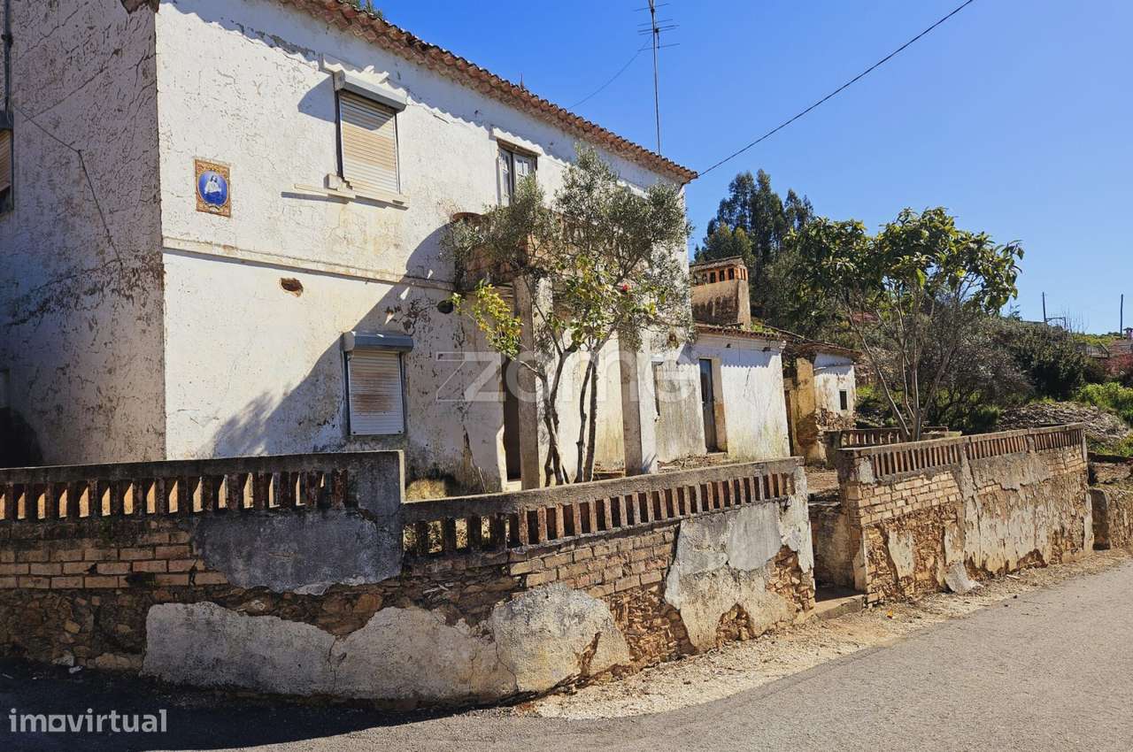 Moradia | Terreno 6530 m2 | Entrevinhas | Sardoal - Grande imagem: 3/35