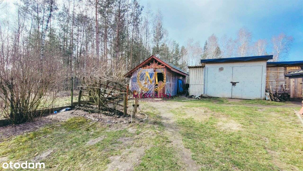 Klimatyczny dom przy lesie, nowy piec fotowoltaika - Pełny obrazek: 5/20