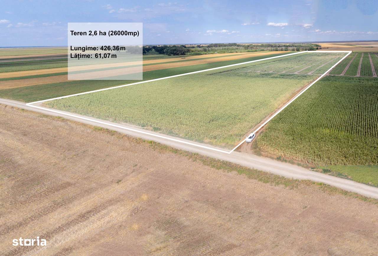 Teren agricol extravilan 2.6 ha - 26.000 mp - Valcelele, Buzau - Imagine principală: 1/15