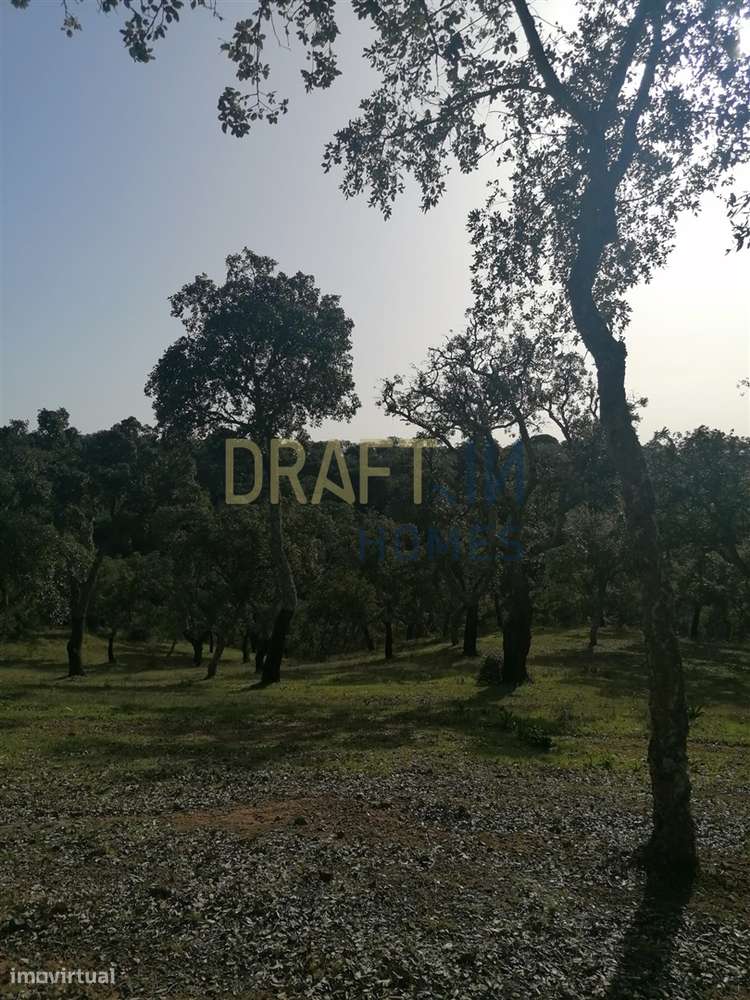 Terreno Rústico  Venda em Melides,Grândola - Grande imagem: 3/31