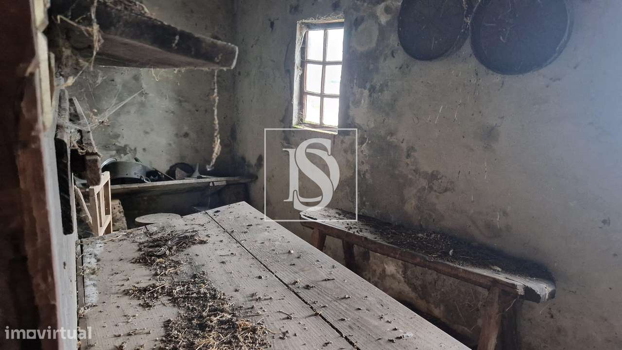 Vivenda de campo e vários terrenos para venda em Zebral, Vieira do Min-29