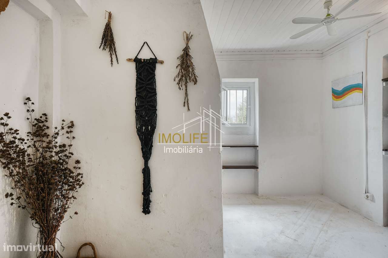 MONTINHO DO CHIADO - MALARRANHA - PAVIA-7