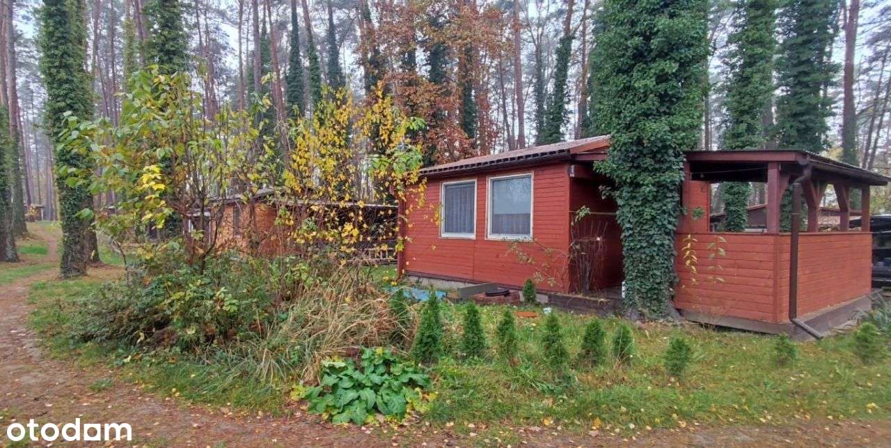 NIŻSZA CENA tylko do końca roku! Domek po remoncie, Jezioro Głębokie - Pełny obrazek: 2/16