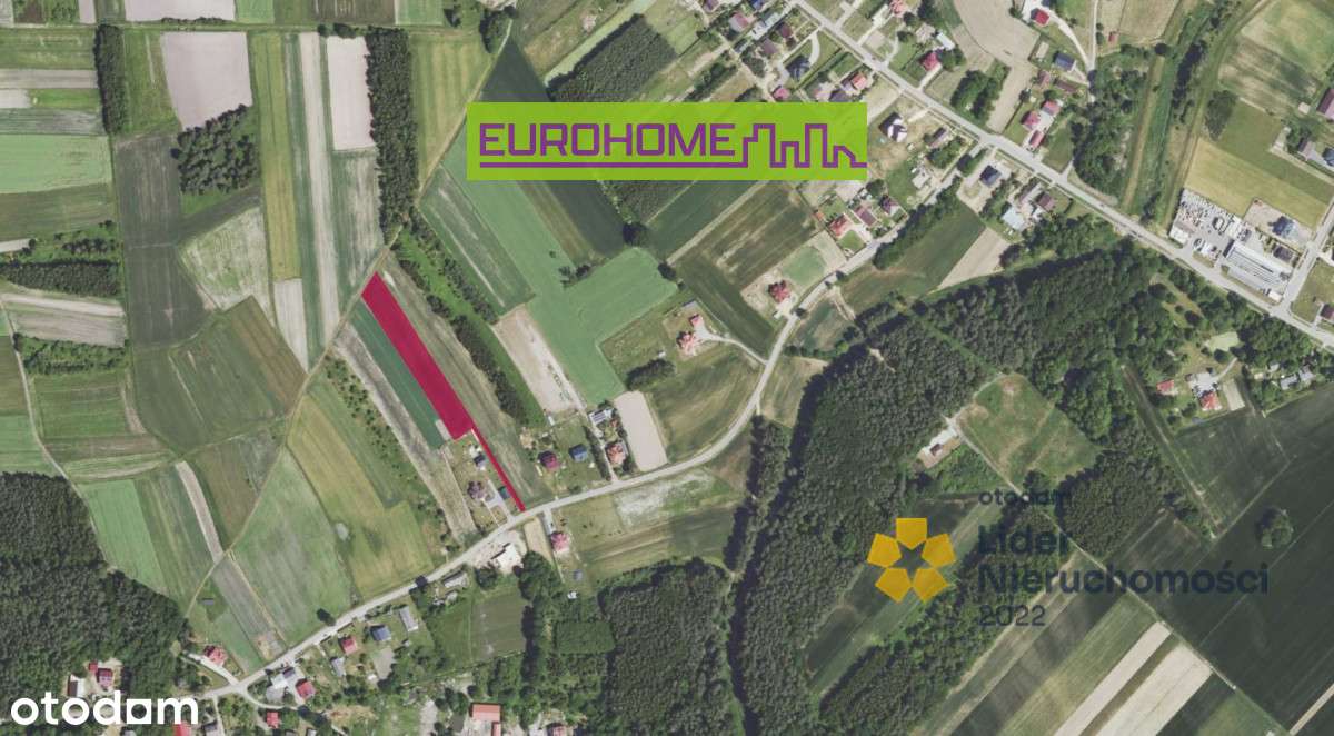 Działka budowlana 39 ar |Łysaków, gmina Czermin|-2