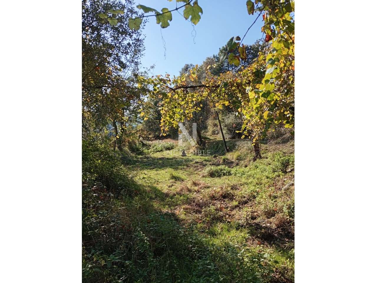Terreno  Venda em Vade,Vila Verde - Grande imagem: 5/10