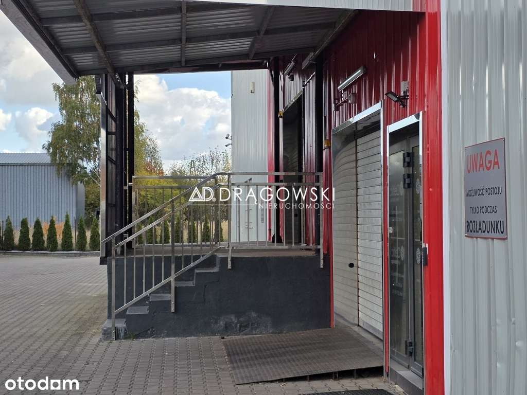 Magazyn 230 m2 Łomianki przy trasie S7 - Pełny obrazek: 5/5