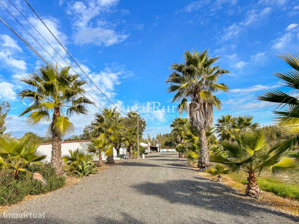 Quinta de 5 hectares, com 2 moradias e piscina-8