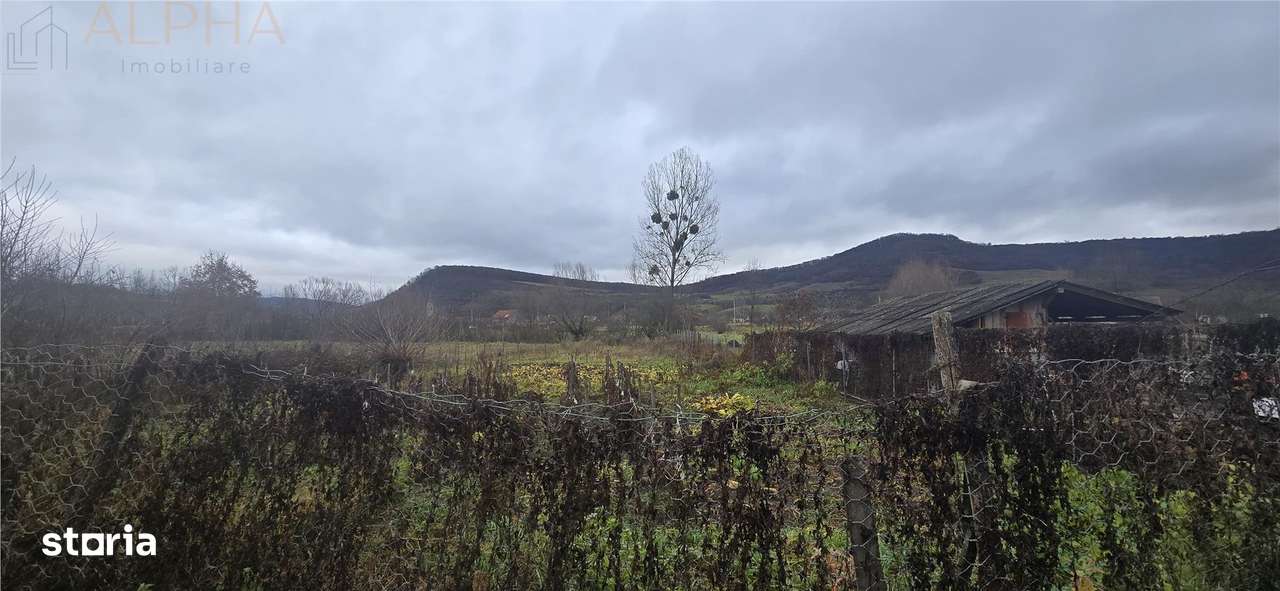 Casa de vanzare in localitatea Chirales, judetul Bistrita-Nasaud-11