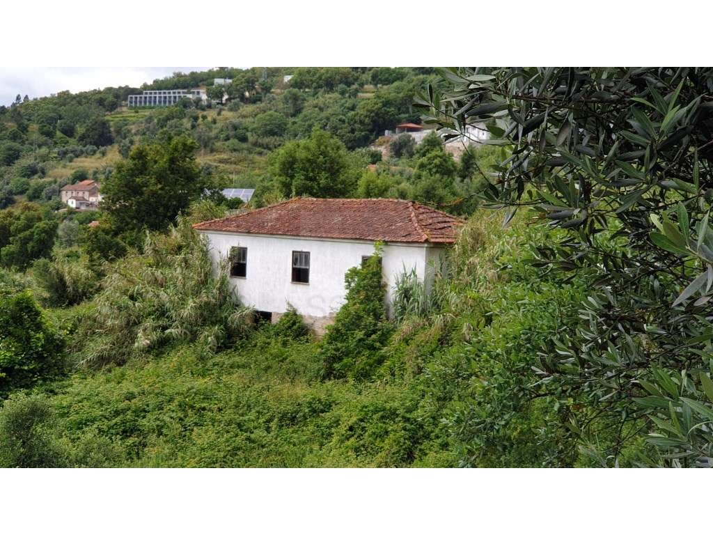 Terreno em Baião Rústico e Urbano com vista Rio - Grande imagem: 5/19
