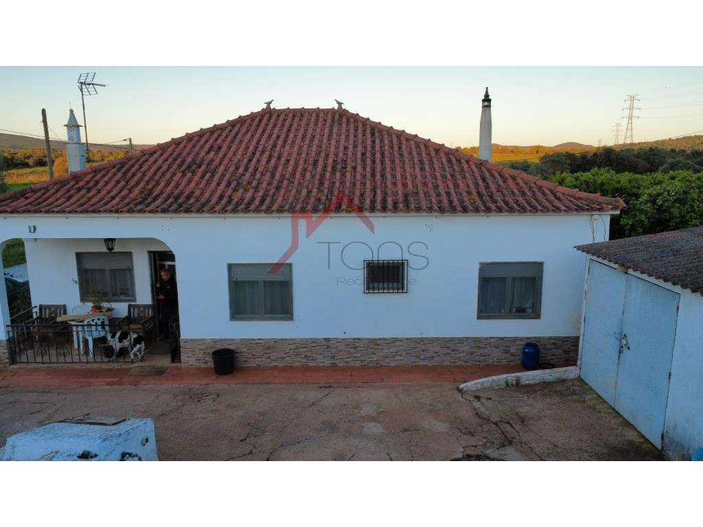 Moradia T3 e Terreno de 2,1 ha com Laranjal Produtivo em Paderne - Grande imagem: 4/5