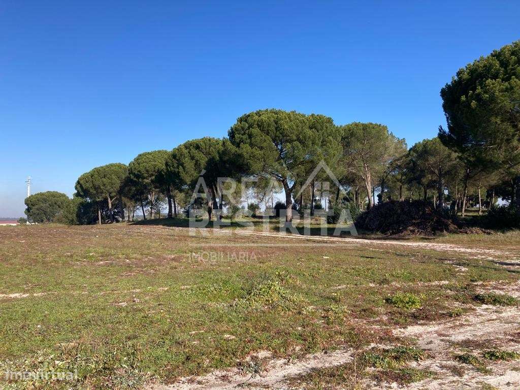 Terreno em Pegões- 14250 m2 - Área de construção até 500 m2 - Grande imagem: 4/32