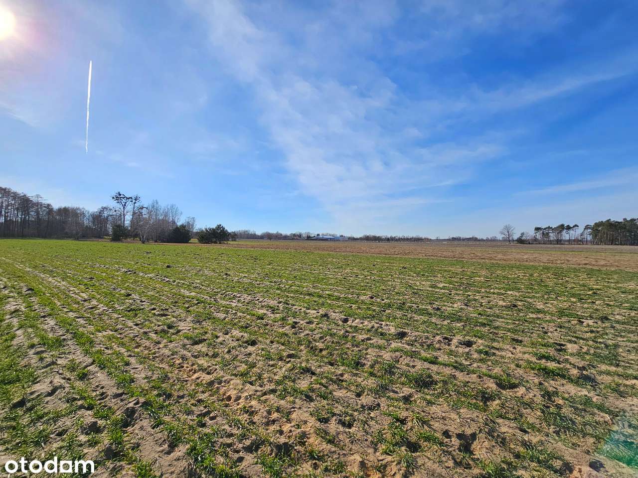 Dwie Działki 3000m² w Kęblinach z WZ - 30min od Centrum Łodzi-6