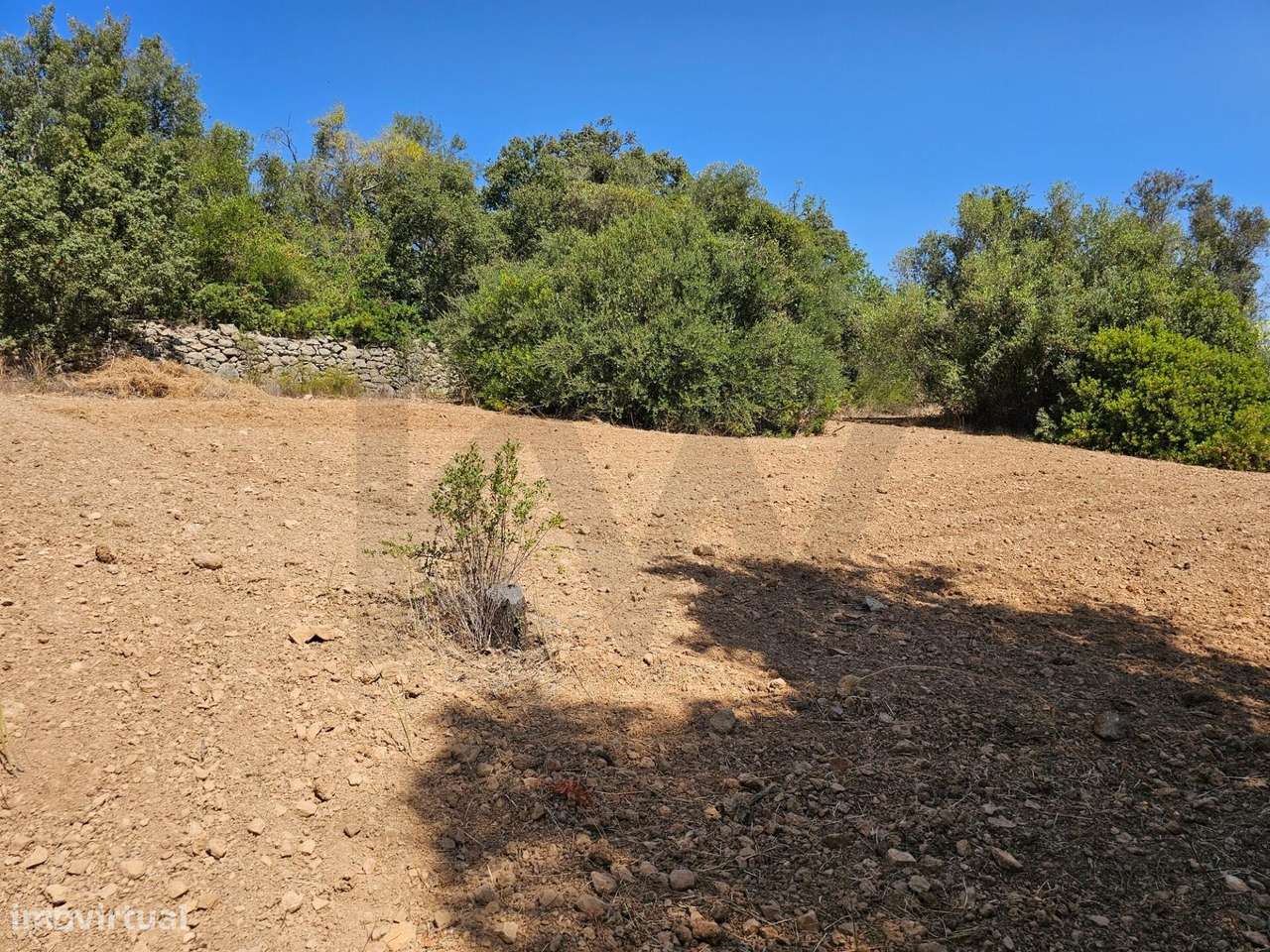 Terreno Rústico| São Sebastião| Loulé - Grande imagem: 5/20