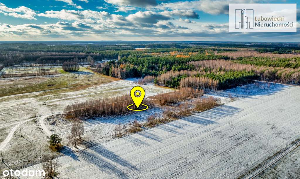 Kompleks działek w Wilamowie - Pełny obrazek: 4/13