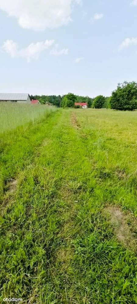 Działka z WZ, gm. Lutomiersk, Franciszków, 2700 m2, atrakcyjna cena-7