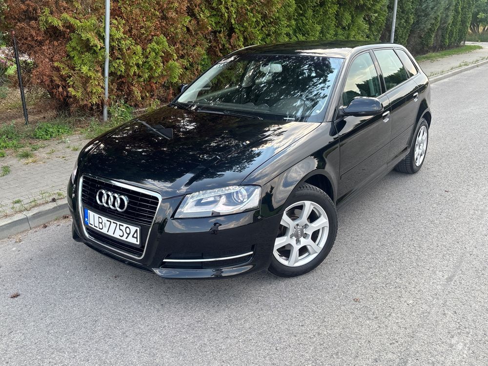 Audi A3 8P (2003-2012) 1.6 TDI Ambition 2011