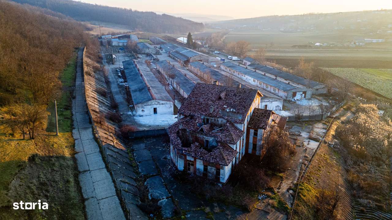 Fosta Ferma a Partidului de la Horgesti - de vanzare-15