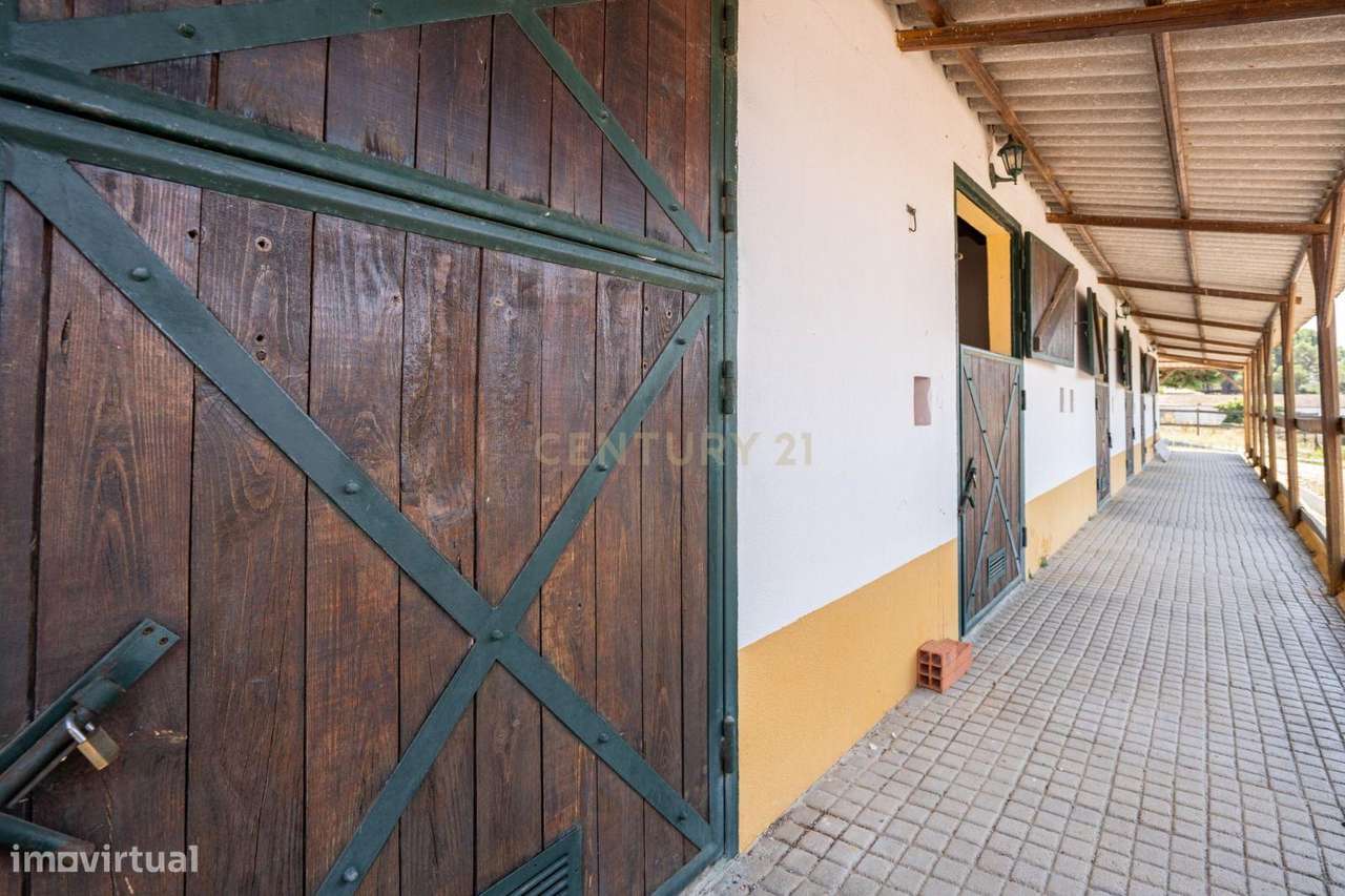 Quinta Equestre a 45 minutos de Lisboa-12