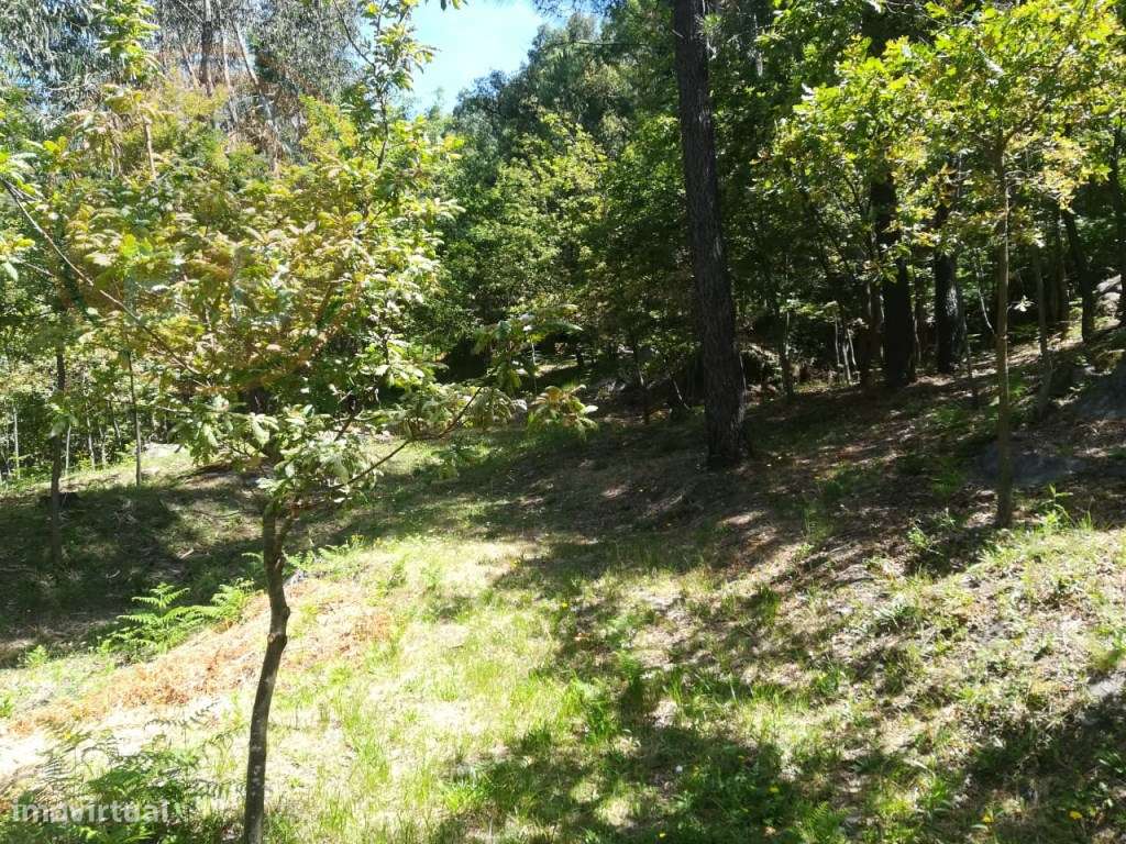 TERRENO COM APROXIMADAMENTE 14.000M² EM CERVA, RIBEIRA DE PENA-5