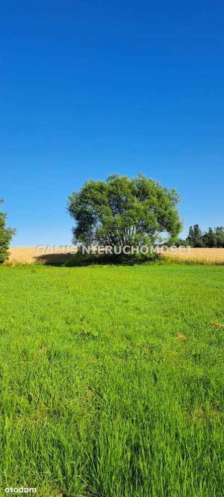 Działka rolna 2,5200 Ha i gospodarstwo-10