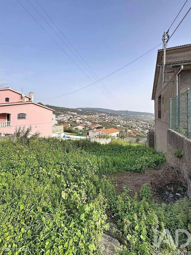 Terreno para construção em Mira de Aire - Grande imagem: 5/15