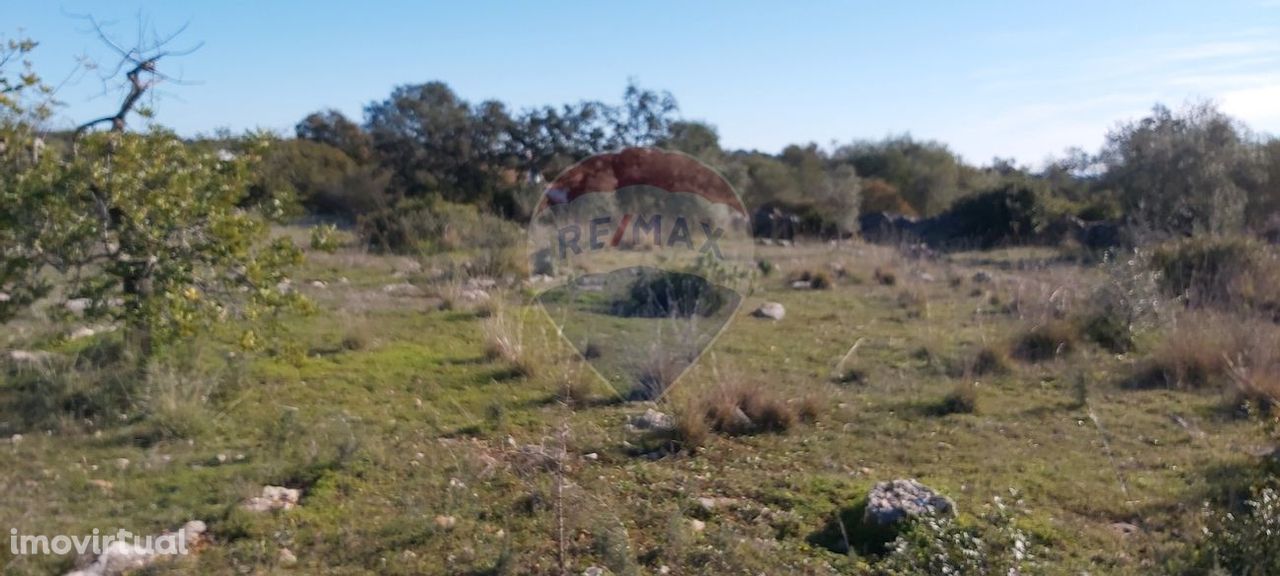 Terreno  para venda