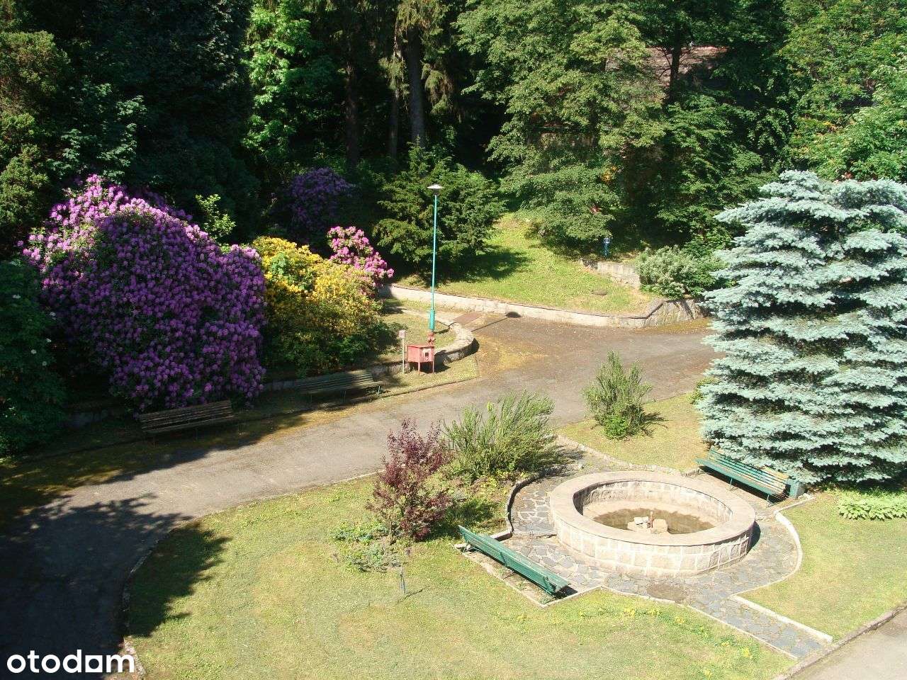 Sprzedaż nieruchomości w Rościszowie - Pełny obrazek: 4/7