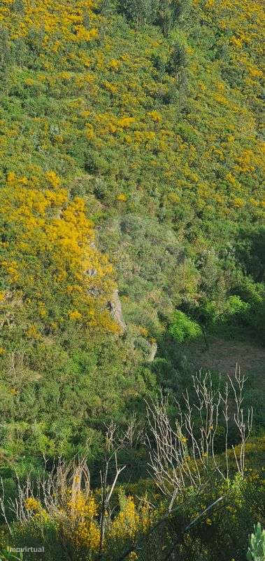 Terreno  para venda - Grande imagem: 5/11