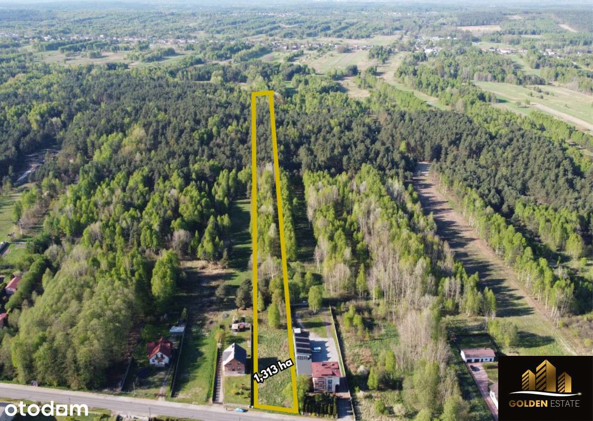 Twoje miejsce na ziemi - Pełny obrazek: 4/4