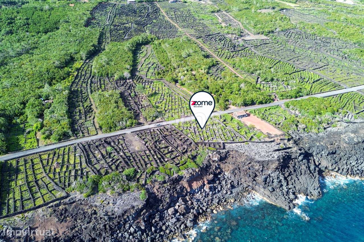 Terreno de vinhas com 1.467 m2, em São Caetano na Ilha do Pico - Grande imagem: 2/12