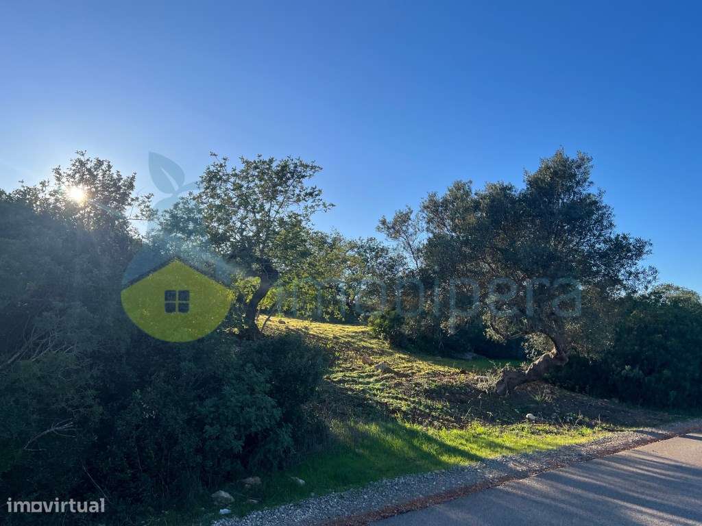 TERRENO RÚSTICO 6.000m2 ZONA CAMPESTRE - Grande imagem: 5/17