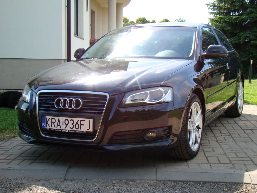 Audi A3 8P (2003-2012) 2010
