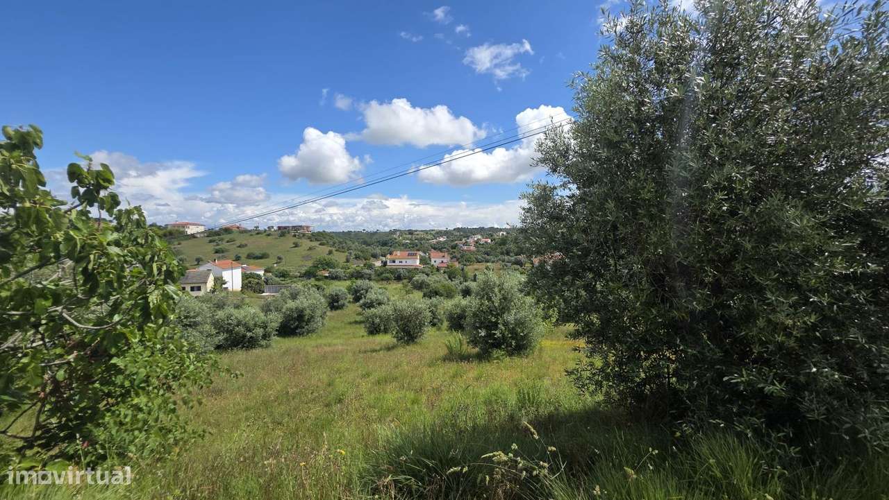 Excelente Terreno para Moradia a 5 kms de Tomar-33