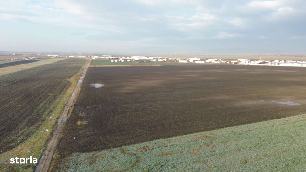 Teren intravilan 2,8 ha industrial deschidere 75 ml soseaua Constantei - Imagine principală: 2/4