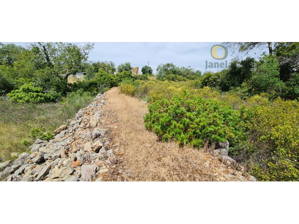 Ruina em terreno de 30400 m2 perto de S. Brás de Alportel - Grande imagem: 4/22