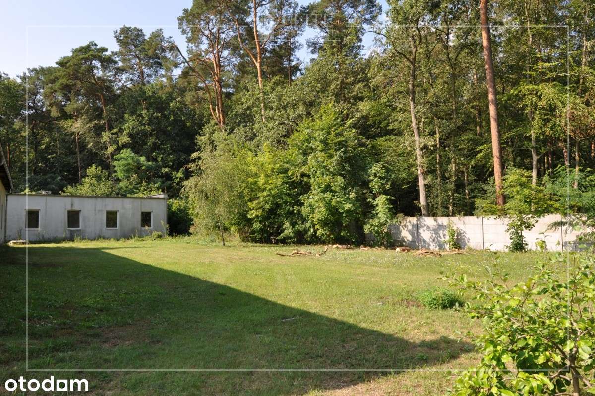 Puszczykowo - rezydencja w otulinie lasu-15