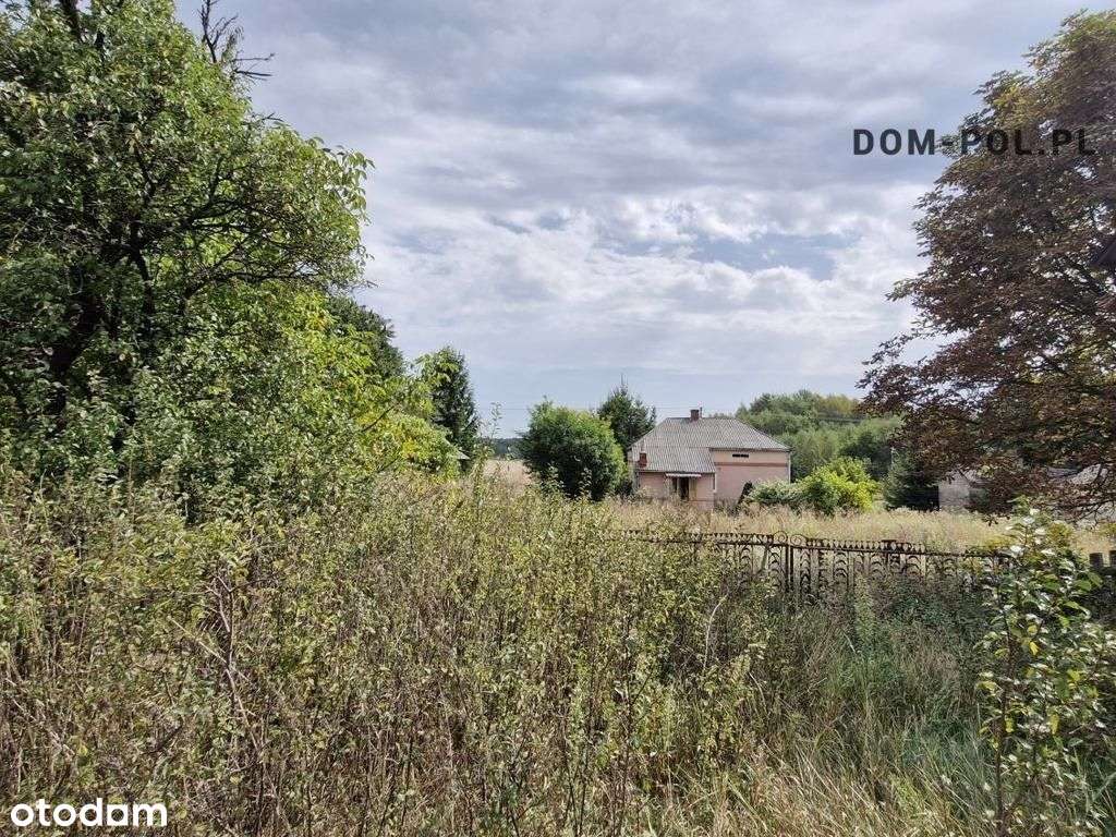 Do Sprzedaży Działka Rolno-Leśna-1