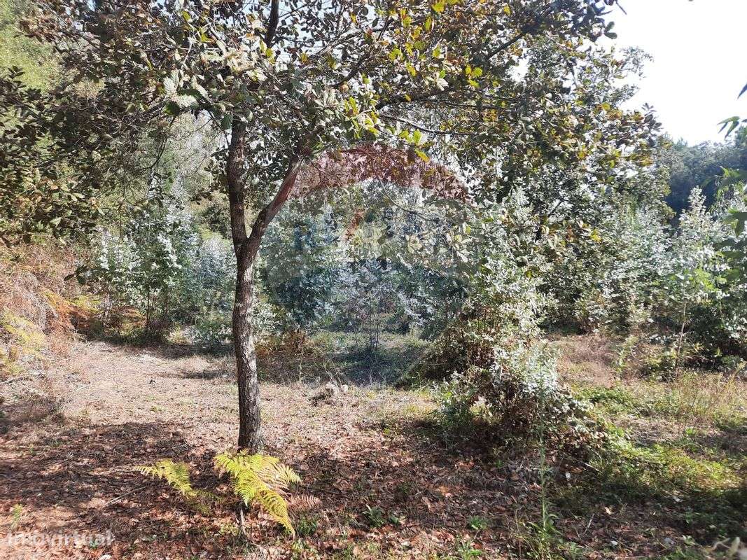 Terreno  para venda - Grande imagem: 5/13