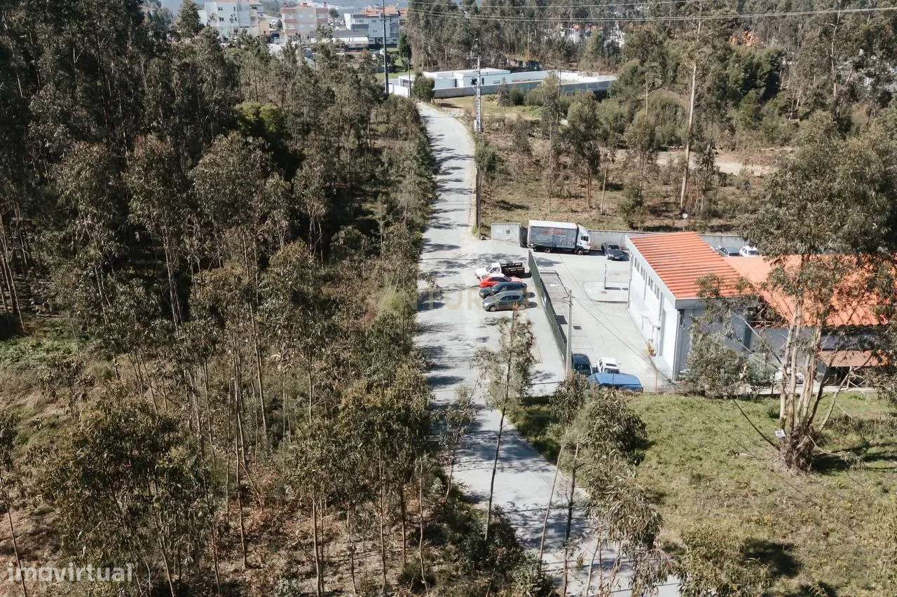 Terreno Urbanizado 6.630m2 - Lobão - Grande imagem: 4/5