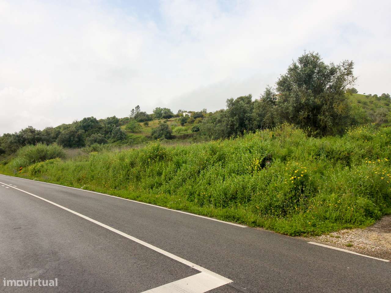 Terreno com 9.160m2 com viablidade de construção - Grande imagem: 2/16