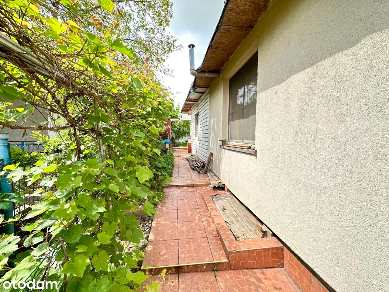 Działka ROD im. Karola Marcinkowskiego z domkiem całorocznym - Pełny obrazek: 4/11