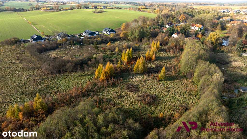 Działka w otoczeniu ciszy i zieleni- Naramowice-15