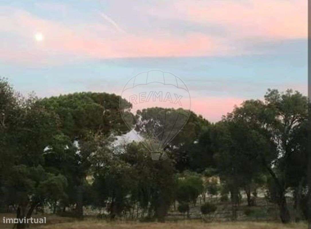 Quinta T2 para venda-33